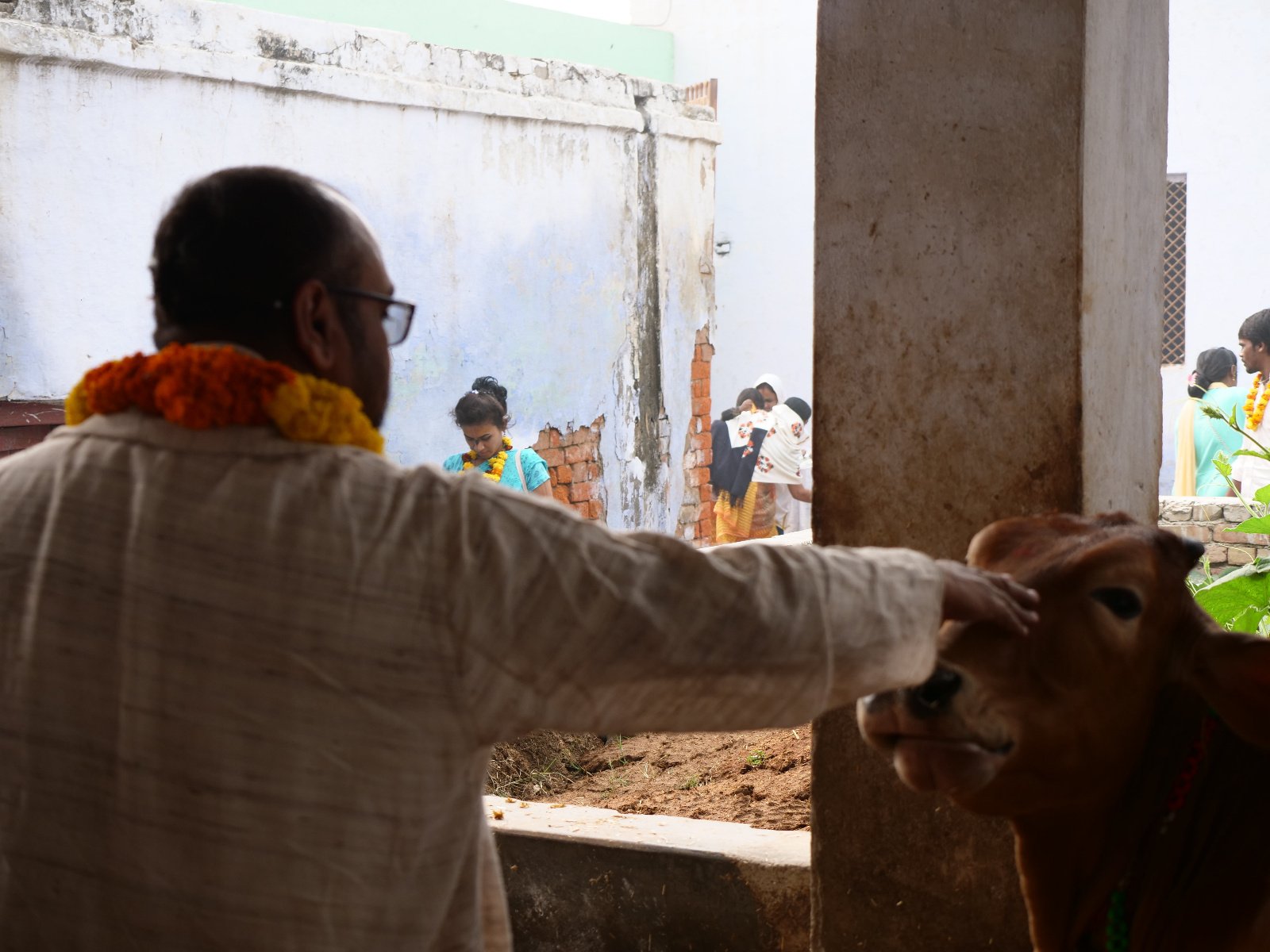  103 Gopashtami Radha kunda Govardhan 19.11.04
